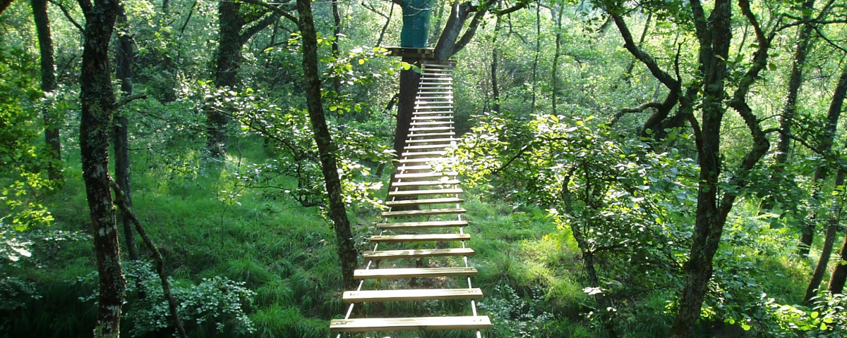 Passerelle suspendue